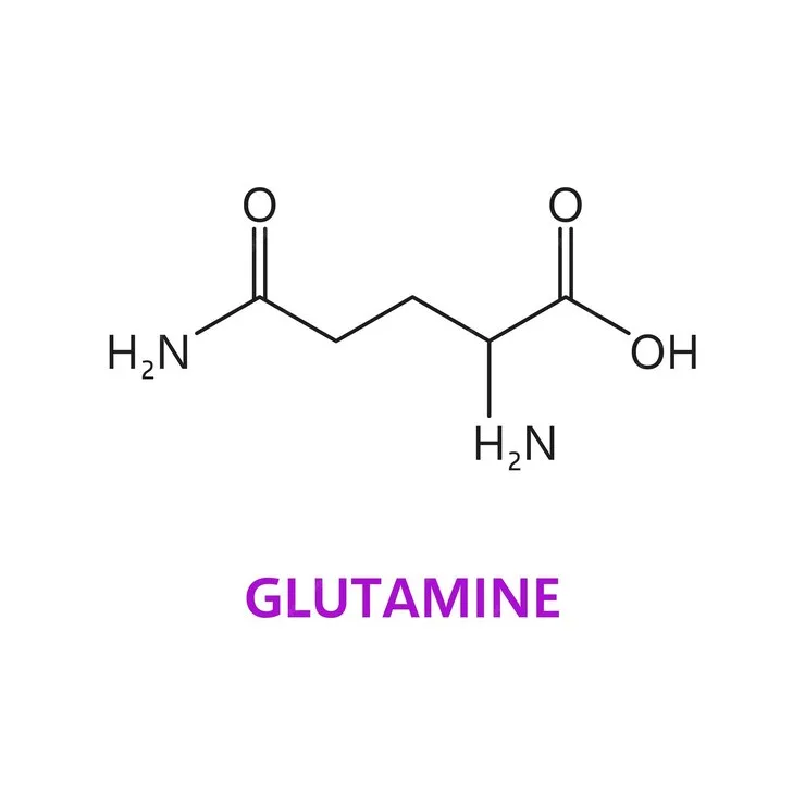 glutamine amino acid