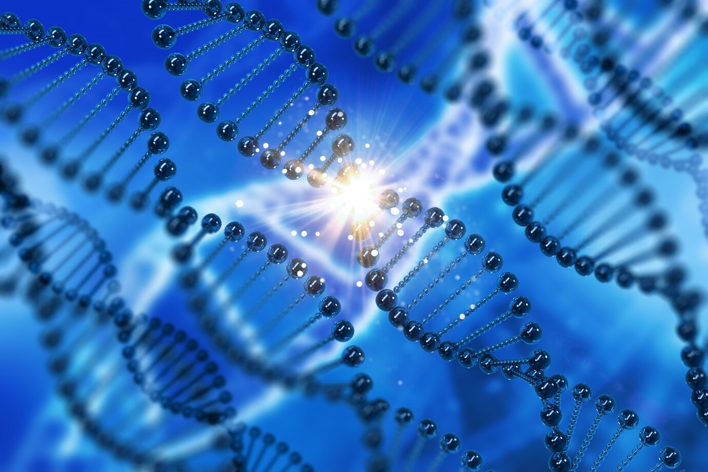 Metagenics vs. Other Supplement Brands, metagenics south africa
