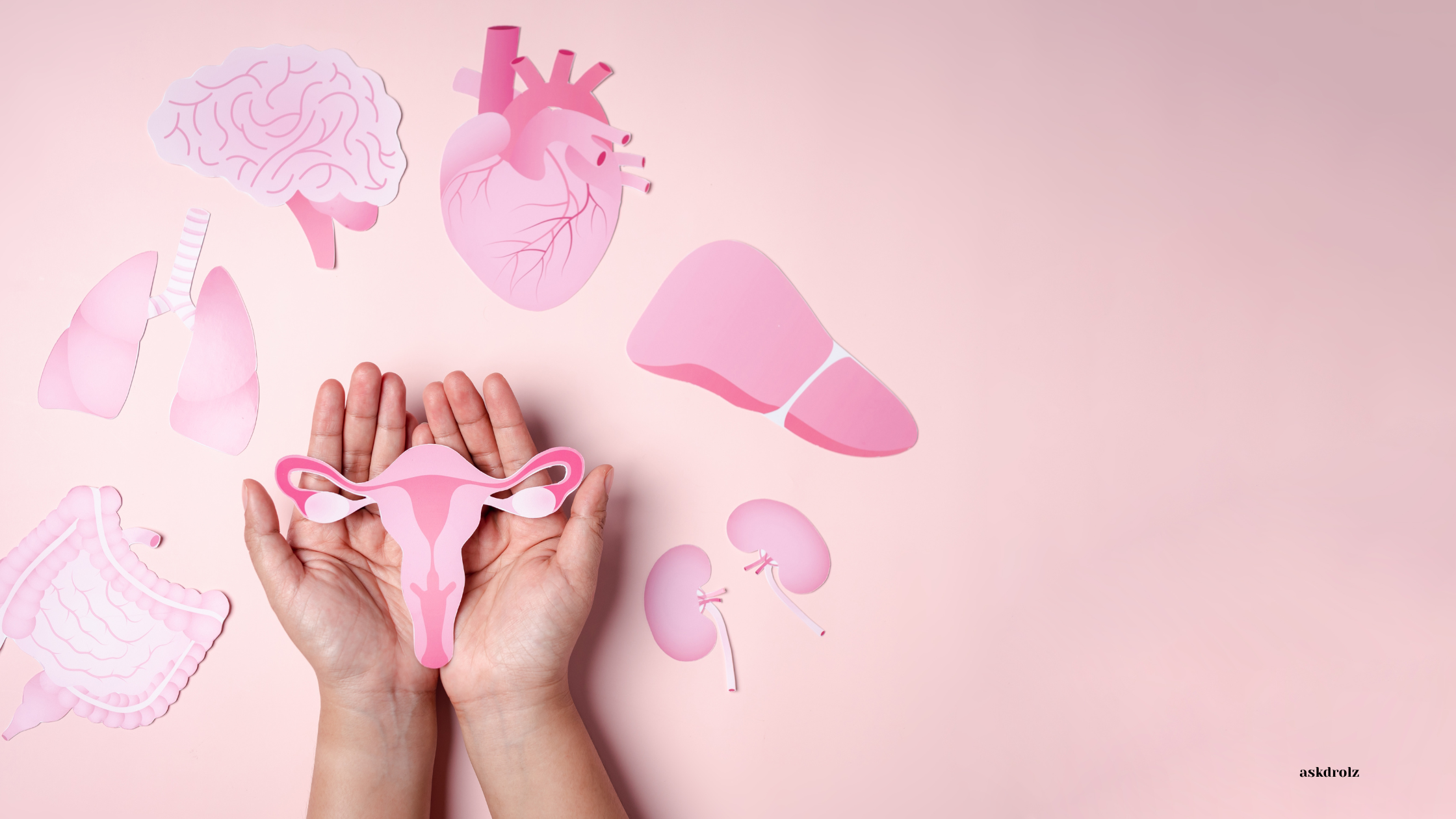 pcos, pcos supplements, hormonal imalance supplements south africa