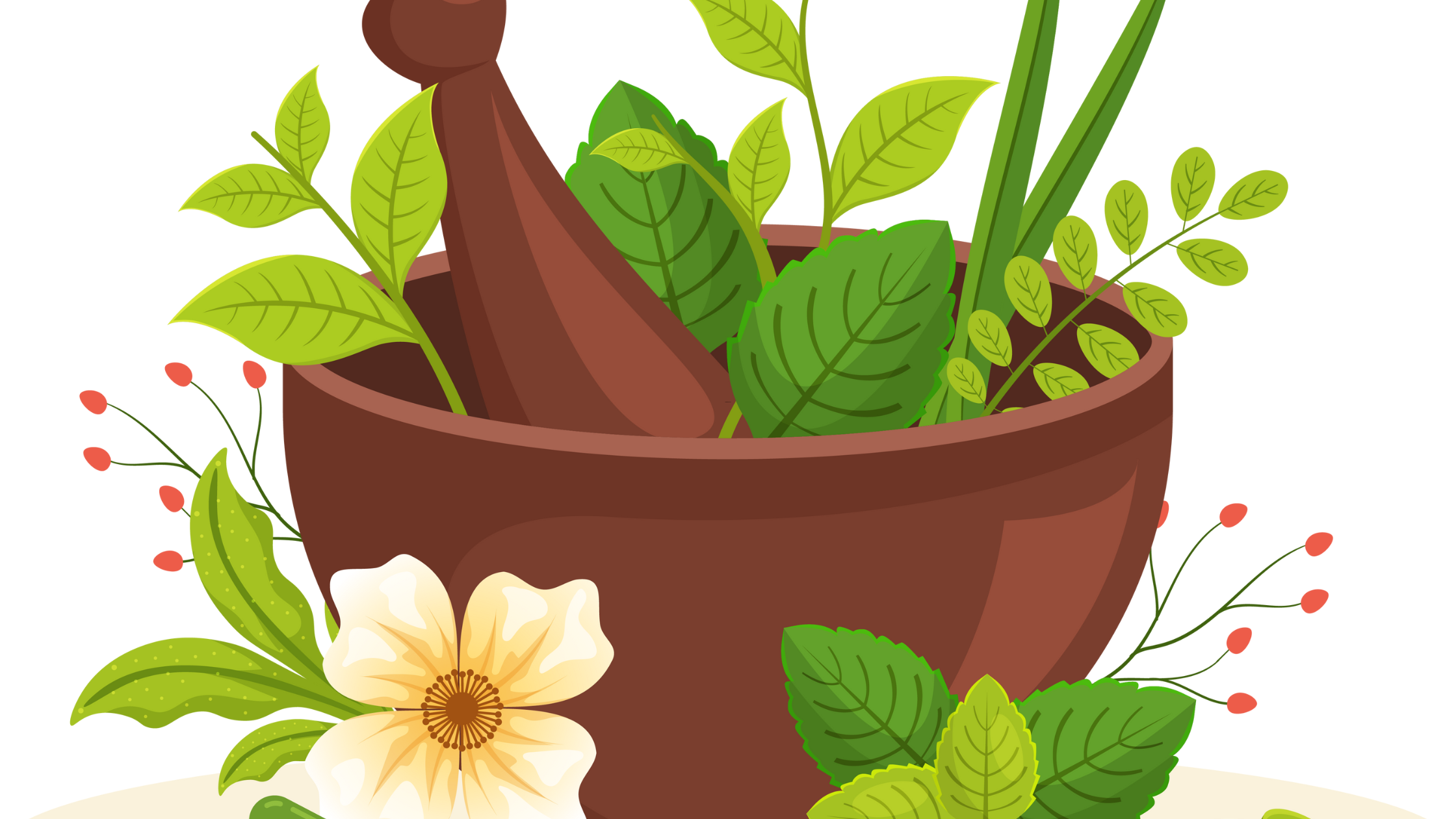 Natural Remedies for Menopause, south africa