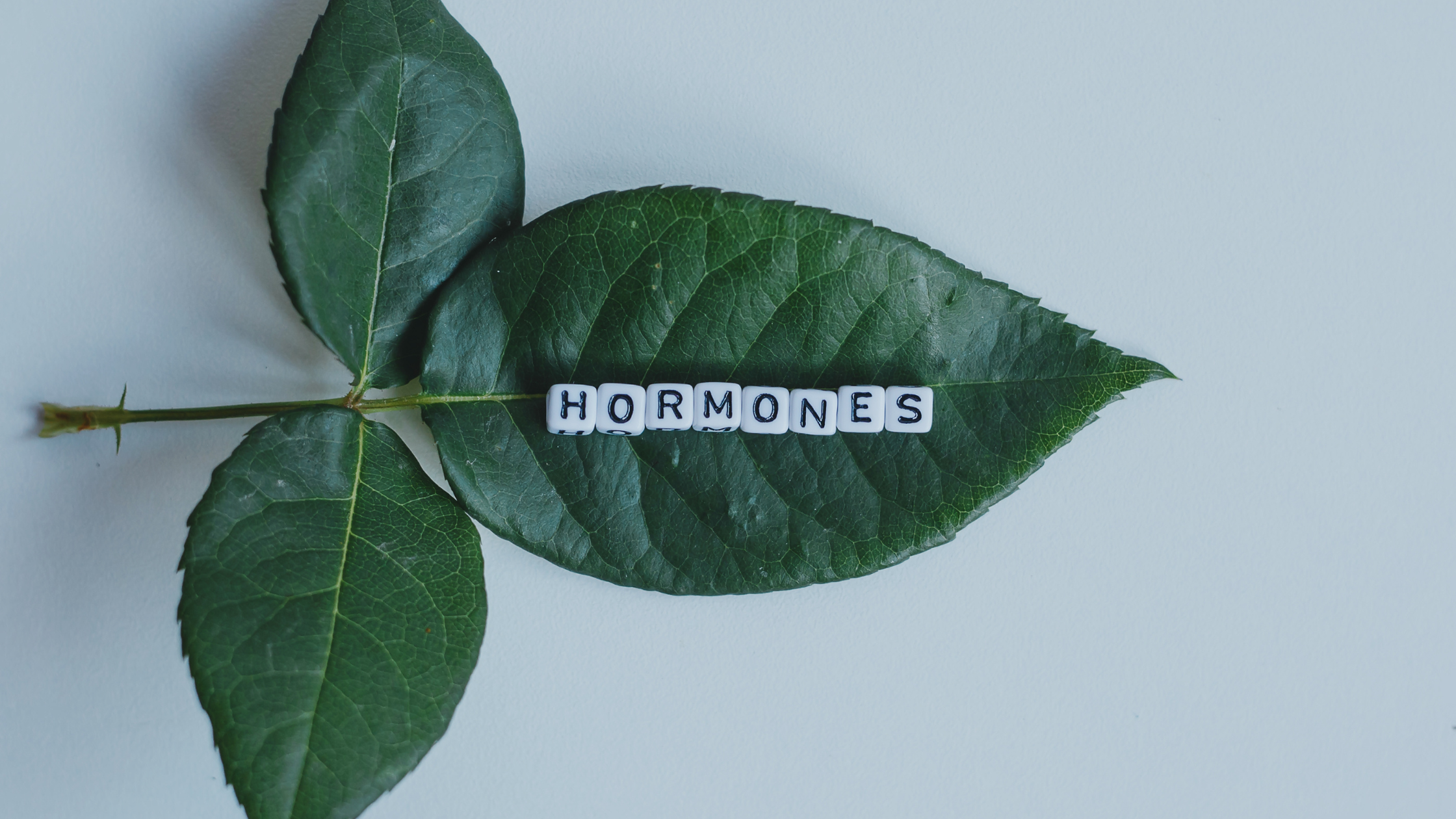 hormone health south africa