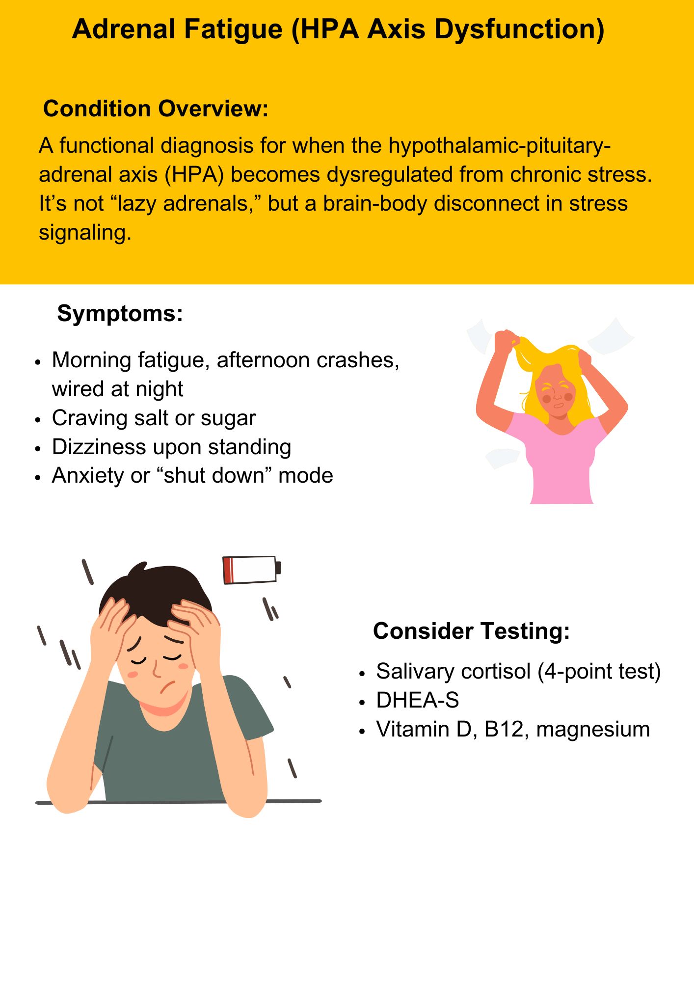 A–Z Conditions Guide: Decode Your Symptoms eBook PDF south africa