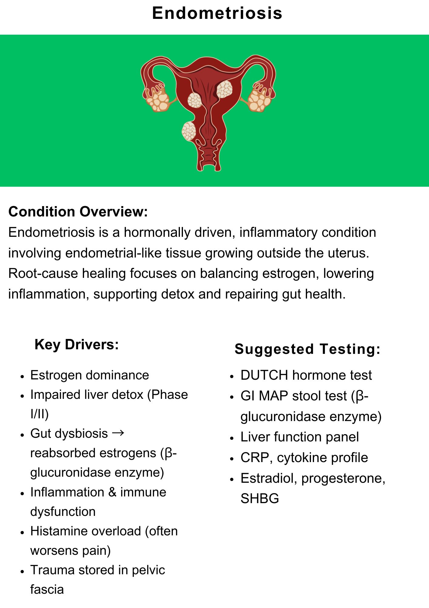 A–Z Conditions Guide: Decode Your Symptoms eBook PDF south africa
