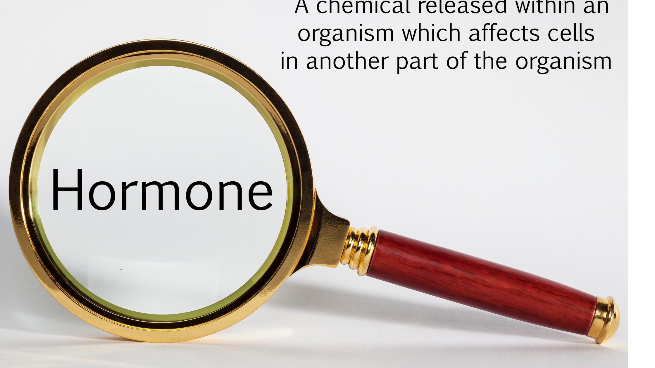 What Are Hormones and What Do They Do?