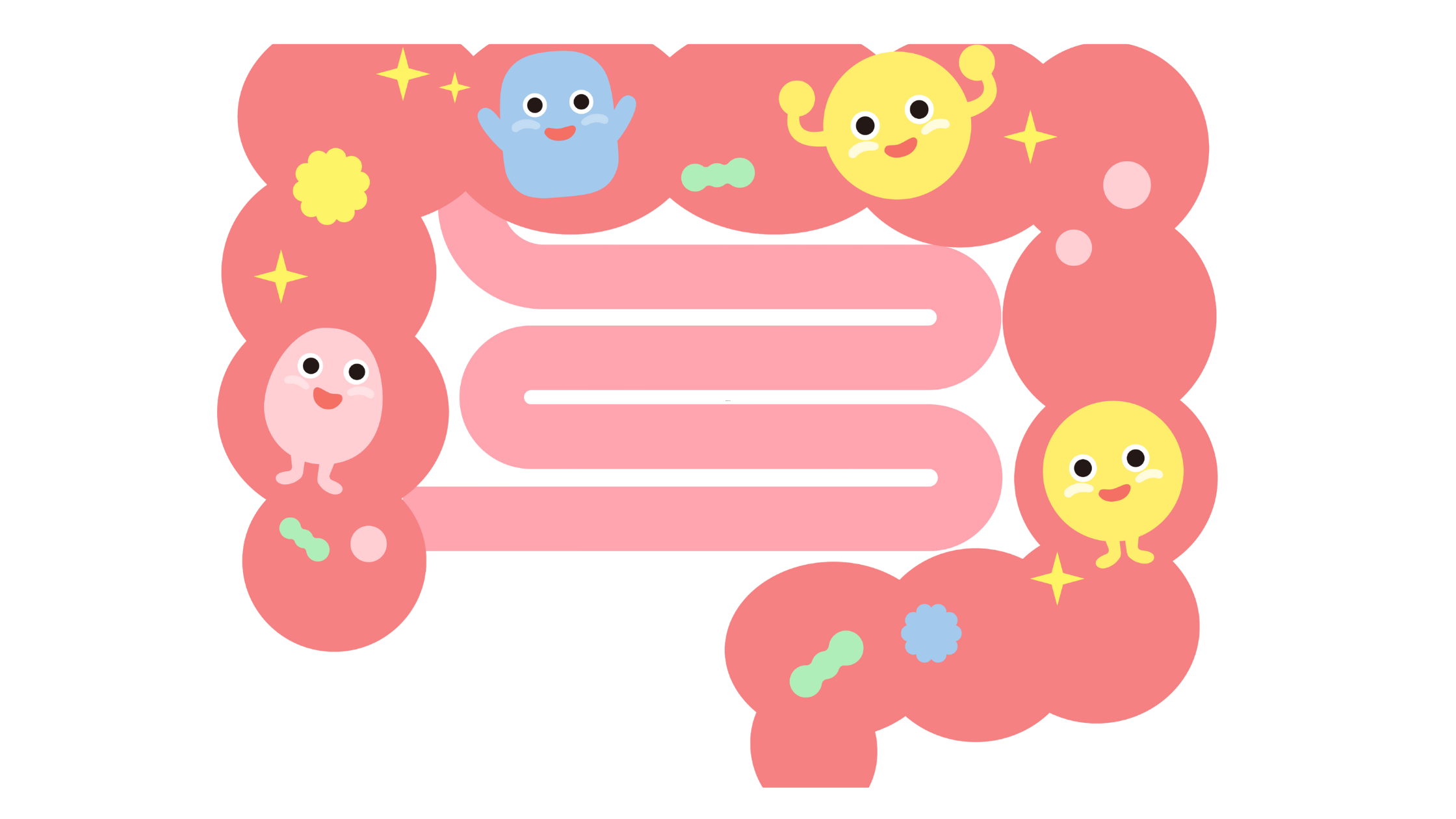 best Probiotic for Gut Health South Africa