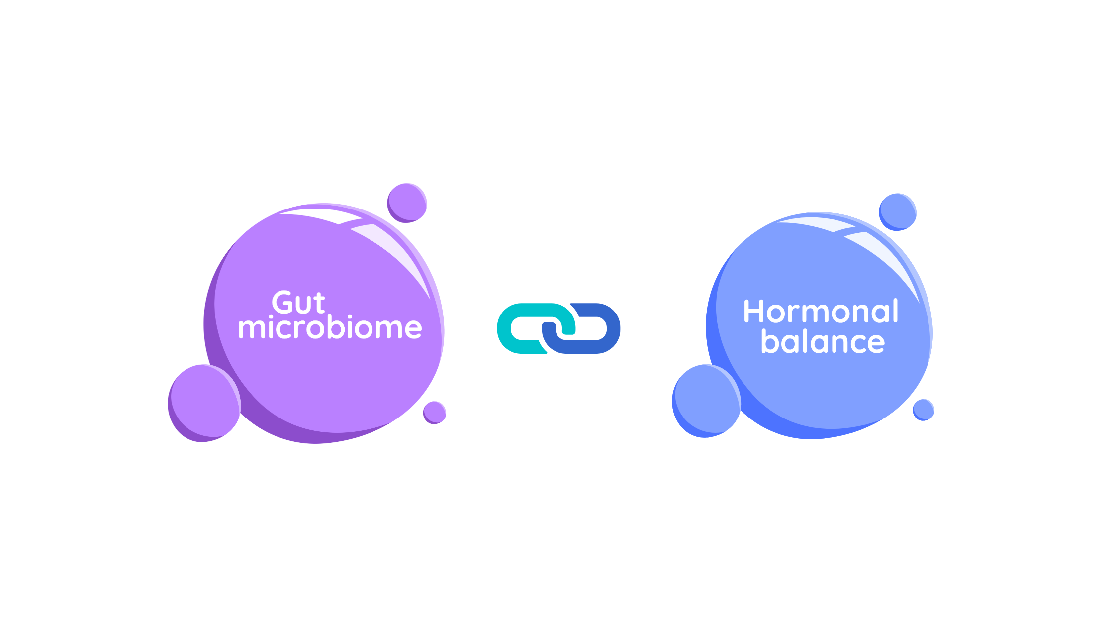 gut health, gut-hormone connection south africa