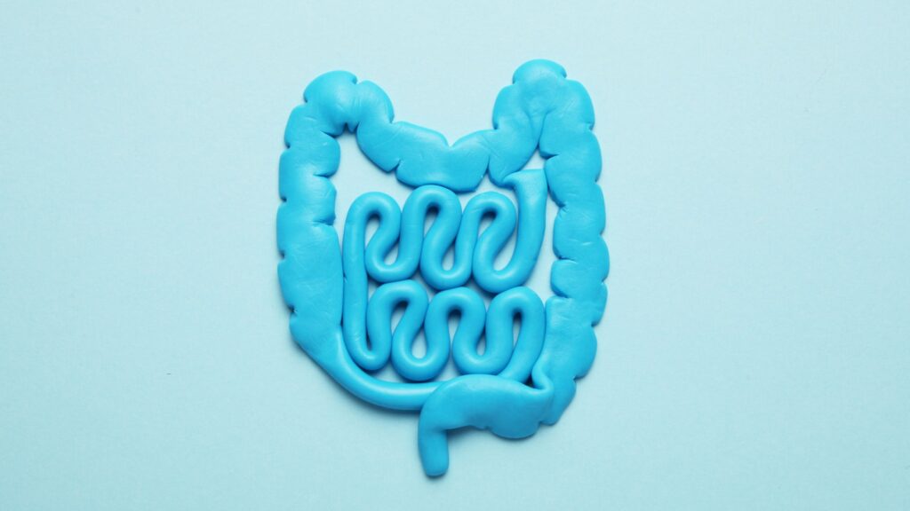 ultraflora balance south africa